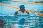 Adult Man Doing Laps In The Pool
